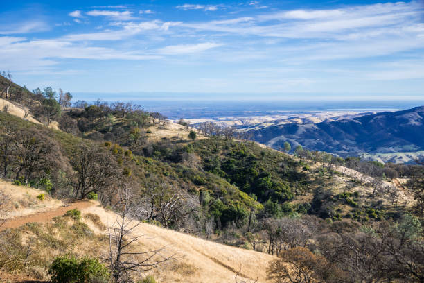 晴れた朝、コントラコスタ郡、サンフランシスコ湾岸地区、カリフォルニア州の丘および谷山ディアブロ州立公園内のビューをハイキング - mt diablo state park ストックフォトと画像