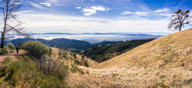 朝の霧が丘とコントラコスタ郡、サンフランシスコ湾岸地区、カリフォルニア mt ディアブロの州立公園を周辺の渓谷をカバー - mt diablo state park ストックフォトと画像