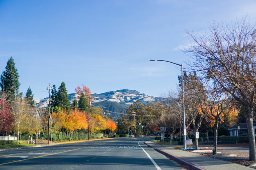 Colorful trees lining up a road through Danville, Mt Diablo summit in the background, Contra Costa county, San Francisco bay area, California