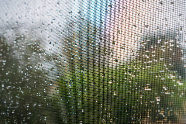 regentropfen auf ein moskito-netz an einem regnerischen tag; grünen bäumen im hintergrund - mosquito netting stock-fotos und bilder