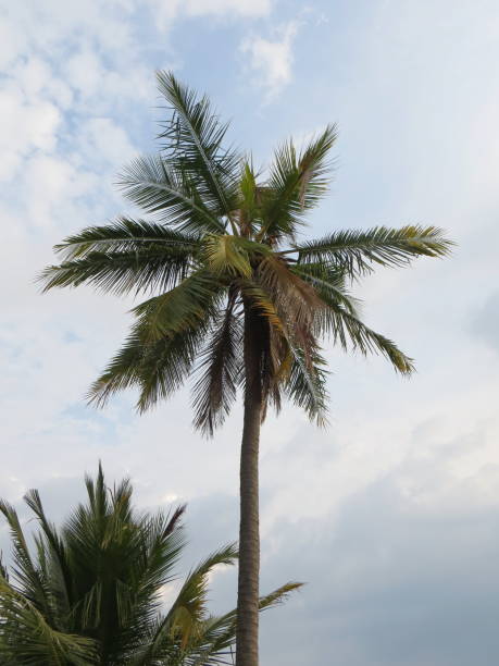 istock Anyer coastal town in Banten 1094288458