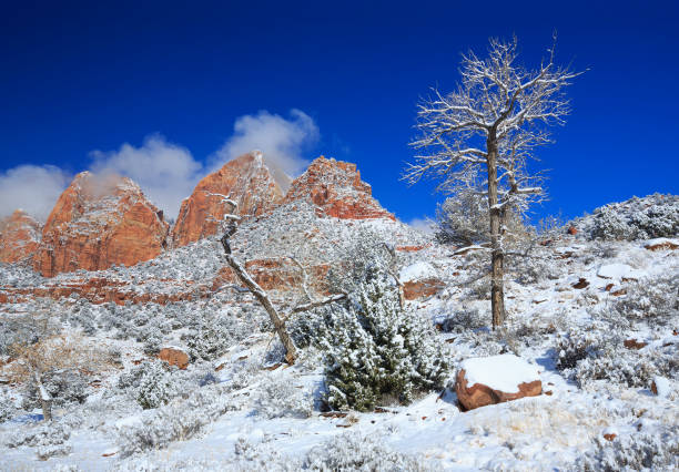 istock Snow in Zion National Park 1094295814