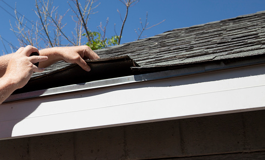 Roof Shingle Inspection