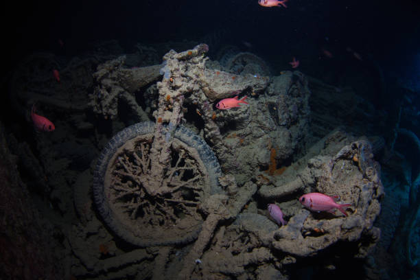 istock SS Thistlegorm shipwreck, Red Sea, Egypt 1094310356