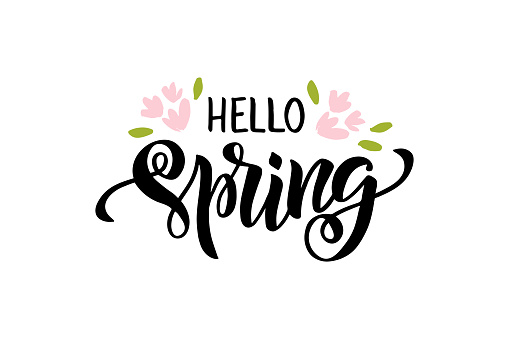 Hello Spring - hand drawn brush lettering. Spring season advertising. Template with pink flowers and leaf for greeting card, invitation, banner, badge, web, poster. Vector illustration