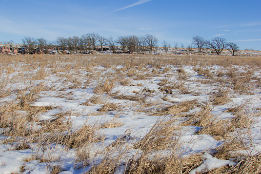 Snow covered prairie grass at Pipestone National Monument.