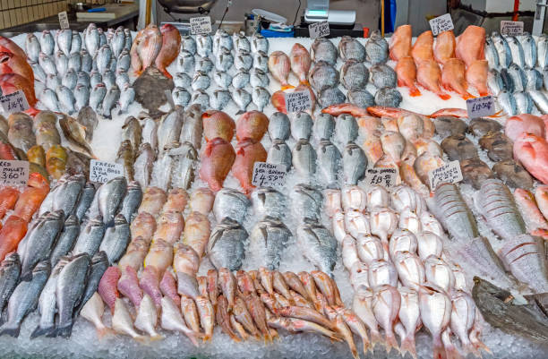 istock Great choice of fresh fish for sale 1094314574