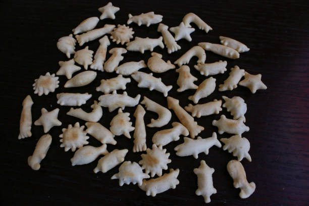 istock cookie shape of sea creature 1094318426