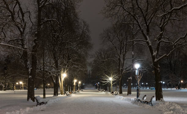 istock Sofia at winter night: City park (Borisova gradina), Bulgaria 1094319782