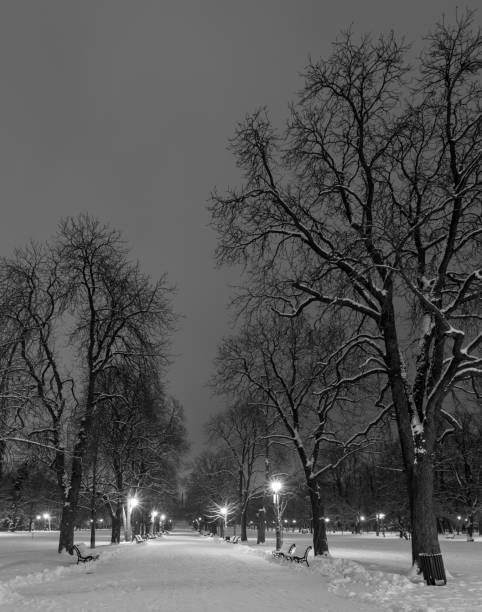 istock Sofia at winter night: City park (Borisova gradina), Bulgaria 1094319788