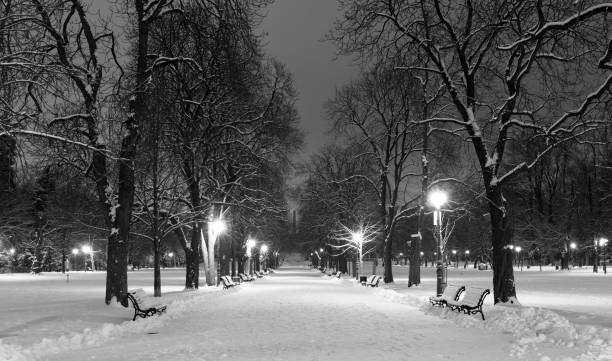 istock Sofia at winter night: City park (Borisova gradina), Bulgaria 1094319790