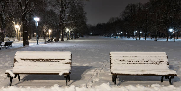 istock Sofia at winter night: City park (Borisova gradina), Bulgaria 1094319794
