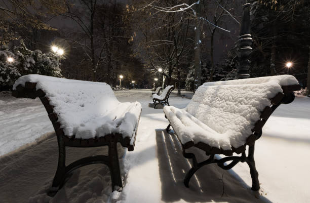 istock Sofia at winter night: City park (Borisova gradina), Bulgaria 1094319848