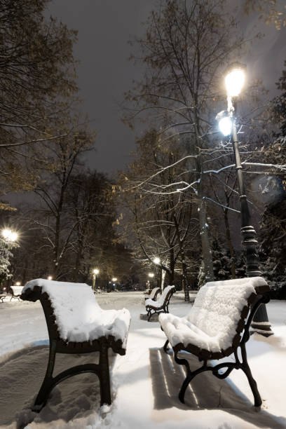 istock Sofia at winter night: City park (Borisova gradina), Bulgaria 1094319850