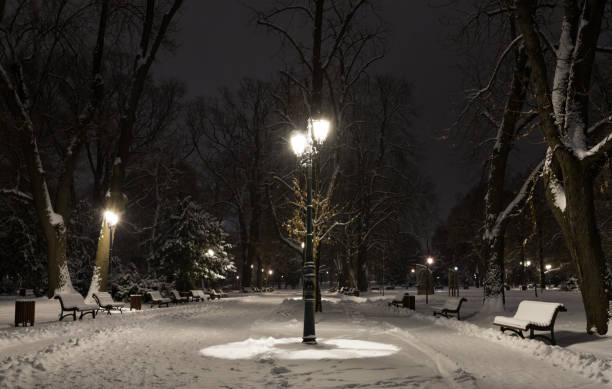 istock Sofia at winter night: City park (Borisova gradina), Bulgaria 1094319866