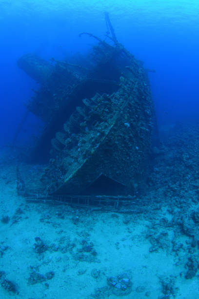istock Giannis D Shipwreck, Red Sea, Egypt 1094331312