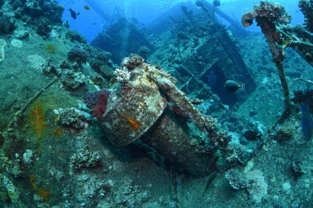 istock Giannis D Shipwreck, Red Sea, Egypt 1094331458