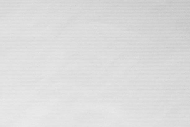 papier fond blanc de main japonais fait rugueux fleur de pastel artisanat gris mûrier blanc texturé. recyclé eco propre plain kraft amical à la main gris matériau naturel pour décoration de noël. - canvas artists canvas white textured photos et images de collection