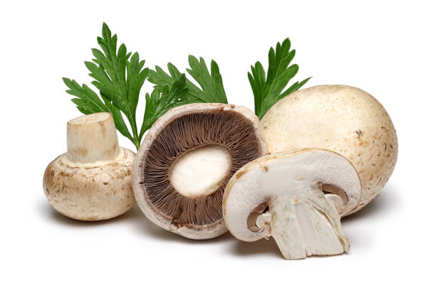 istock Mushrooms and green parsley 1094341286