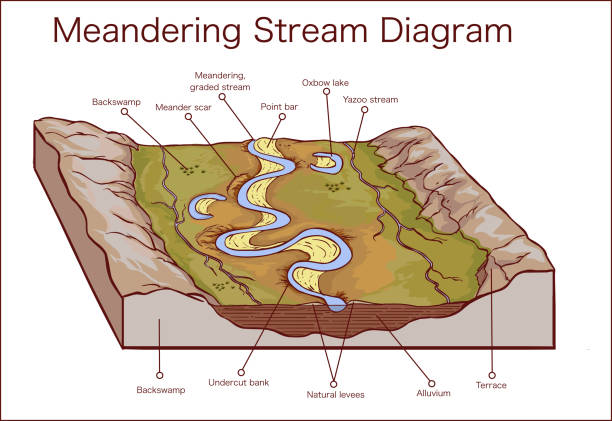 векторная иллюстрация извилистого потока - lake pond stream water stock illustrations