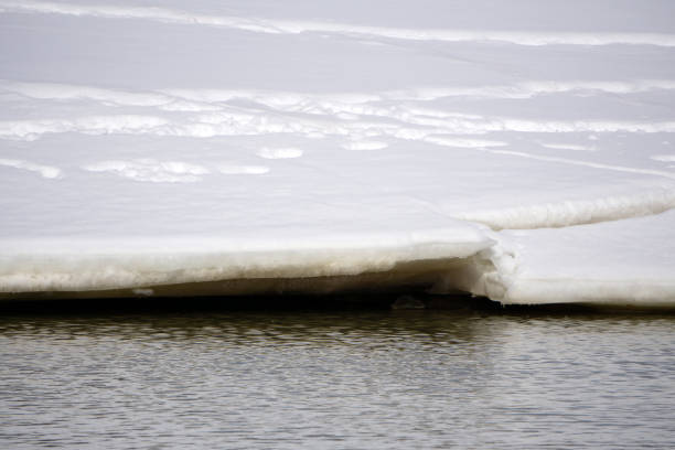 Antarctic ice shelf edge loneliness majestic meditation