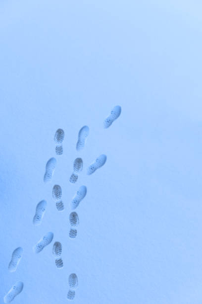 istock High angle view of footprints in snow 1094344232