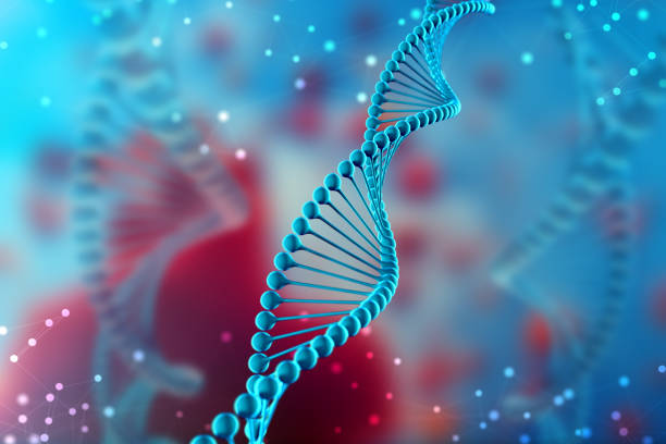3d Illustration of DNA molecule. The blue helical molecule of a nucleotide in organism. Genome and modification 3d Illustration of DNA molecule. The helical molecule of a nucleotide in the environment of the organism like in space. The concept genome and modification of the body genetic research stock pictures, royalty-free photos & images