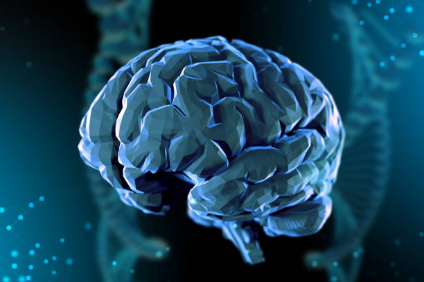 istock 3d illustration digital brain. Concept of artificial intelligence and the limitless possibilities of the mind 1094348372