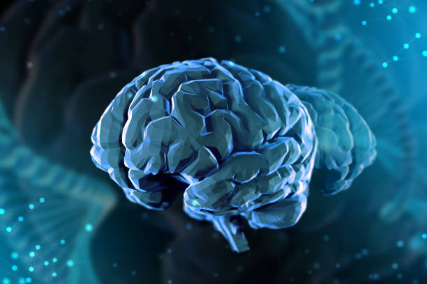 istock 3d illustration digital brain. Concept of artificial intelligence and the limitless possibilities of the mind 1094348384
