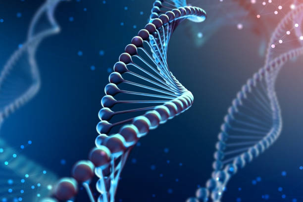 3d Illustration of DNA molecule. The helical blue molecule of a nucleotide in organism like in space. Concept genome 3d Illustration of DNA molecule. The helical molecule of a nucleotide in the environment of the organism like in space. The concept genome and modification of the body helical stock pictures, royalty-free photos & images