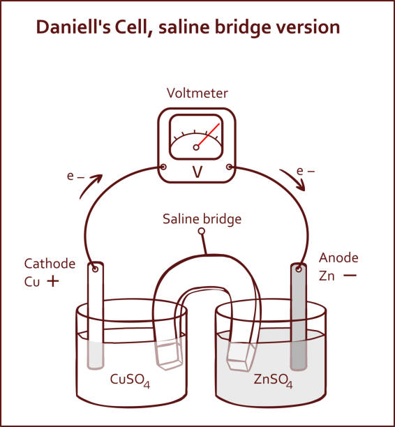 ilustrações de stock, clip art, desenhos animados e ícones de daniell's cell, saline bridge version vector illustration - energia reativa