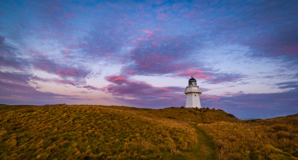 istock Waipapa Point Pink Sunset 1094349320
