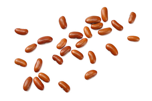 istock brown kidney beans isolated on white background. top view 1094360682
