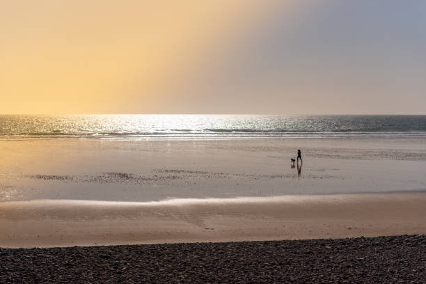 istock Woman running with her dog on a beach at sunset 1094367486