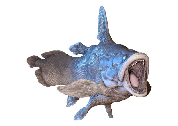istock 3D illustration Mawsonia fish on white 1094370988