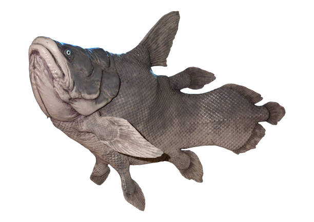 istock 3D illustration Mawsonia fish on white 1094370990