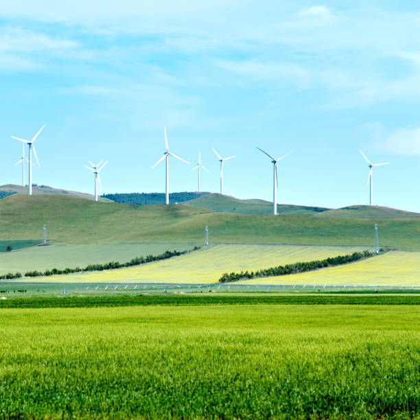 istock Windfarm with group of wind turbines 1094376140