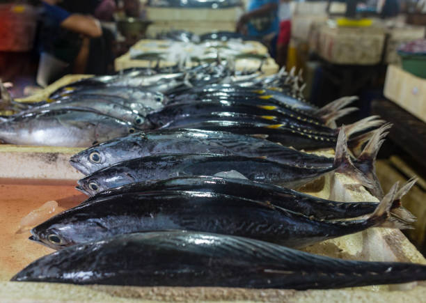 venetian fish market. the rialto fish market is located alongside the grand canal near the rialto bridge - venice, italy - market rialto bridge venice italy italy imagens e fotografias de stock