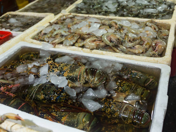 venetian fish market. the rialto fish market is located alongside the grand canal near the rialto bridge - venice, italy - market rialto bridge venice italy italy imagens e fotografias de stock