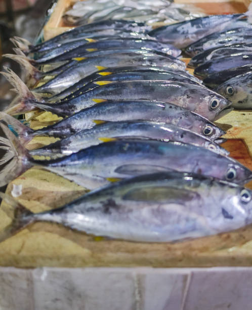 venetian fish market. the rialto fish market is located alongside the grand canal near the rialto bridge - venice, italy - market rialto bridge venice italy italy imagens e fotografias de stock