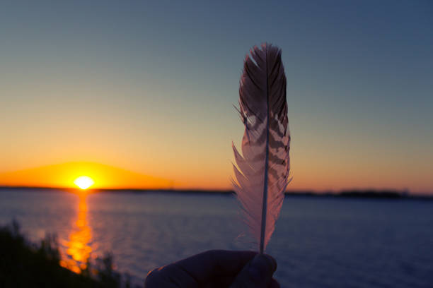 istock Colorful fether of some bird 1094380594