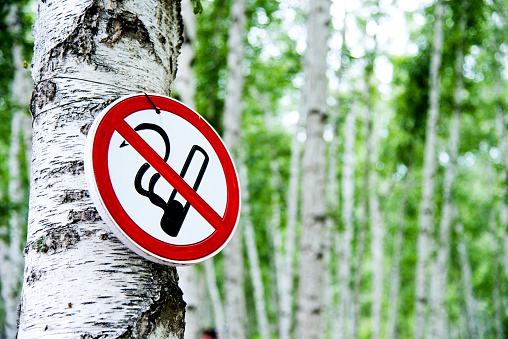 No smoking sign in forest.