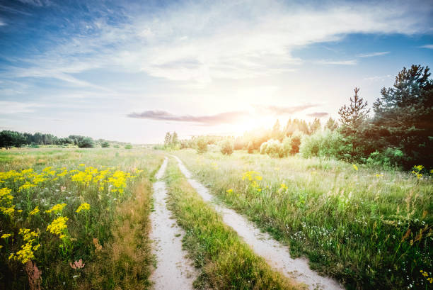 istock Rural road in field 1094385620