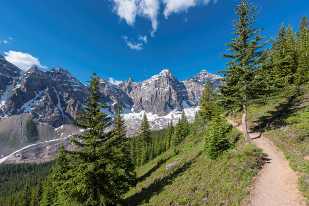 sentier des montagnes rocheuses canadiennes - landscape national park lake louise moraine lake photos et images de collection