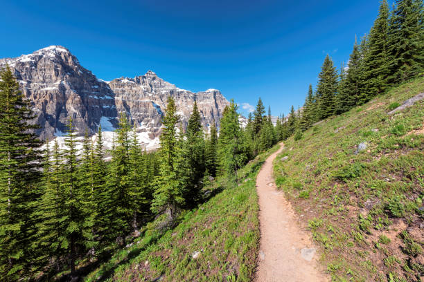 istock Mountains trail in Canadian Rockies 1094389010
