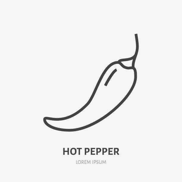 唐辛子フラット ライン アイコン。辛い食べ物、メキシコのカフェのロゴのベクトルの薄い記号。スパイス レストラン メニューの図 - pepper点のイラスト素材／クリップアート素材／マンガ素材／アイコン素材