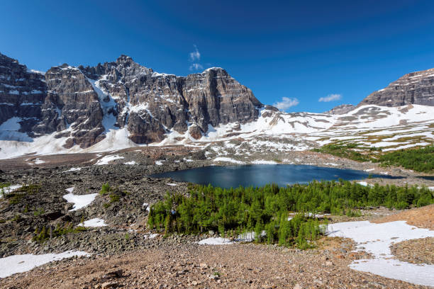 kanadischen rocky mountains, banff nationalpark - landscape national park lake louise moraine lake stock-fotos und bilder