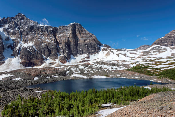 kanadischen rocky mountains, banff nationalpark - landscape national park lake louise moraine lake stock-fotos und bilder