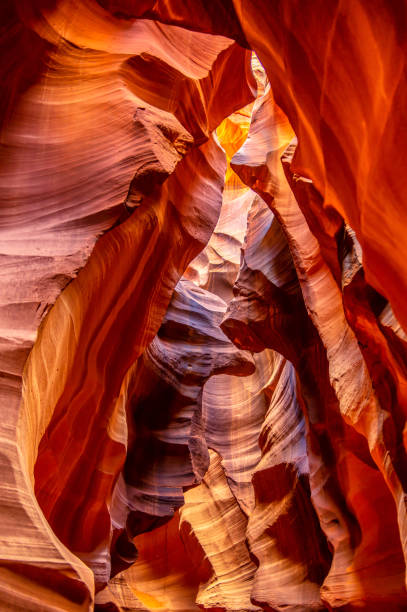 vertical vista do cânion do antílope superior - desfiladeiro antelope canyon superior - fotografias e filmes do acervo