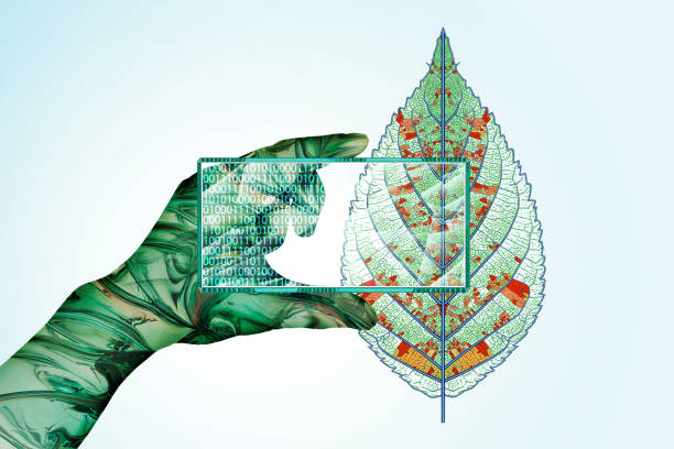 Global warming begins with carbon dioxideThe plant's ecosystem is destroyed, and the leaf withers.